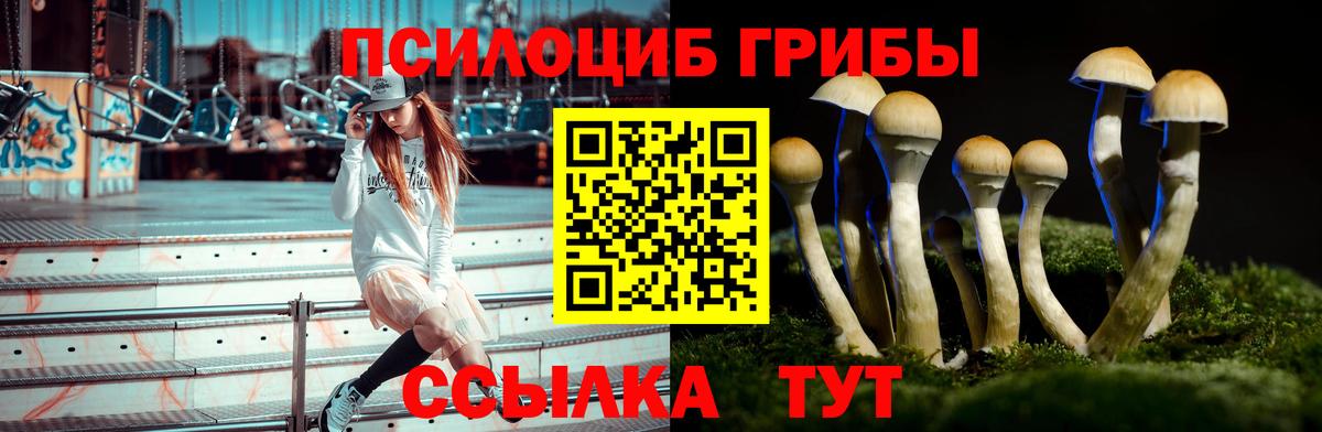 Михайловка  Псилоцибиновые грибы мицелий  Вход с VPN  Псилоцибиновые грибы MAGIC MUSHROOMS 